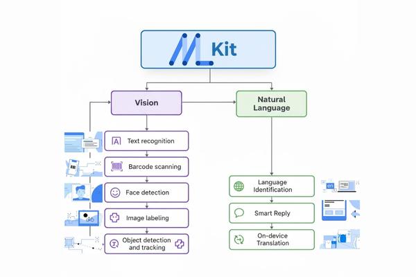 Google ML Kit Types of API